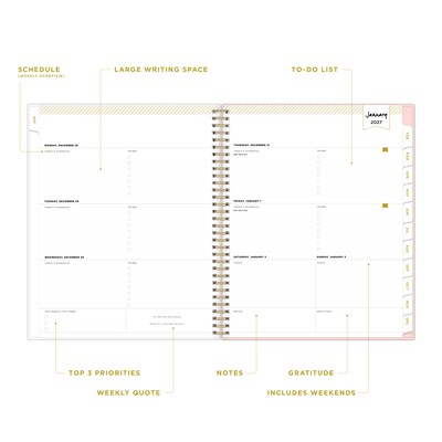 2027 Blue Sky Day Designer Coming Up Roses 8.5 x 11 Calendar Year Weekly & Monthly Planner, Plastic Cover (140092-27)