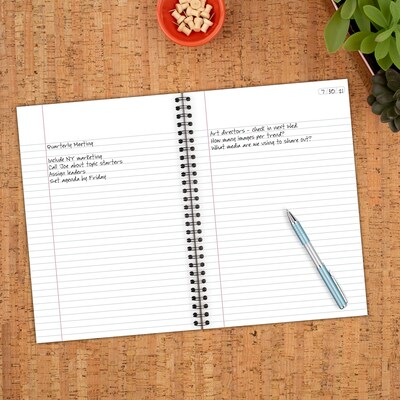 Cambridge Legal 1-Subject Professional Notebooks, 6.5" x 9.5", Legal Ruled, 80 Sheets, Gray (06672)