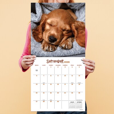 2026 TF Publishing Dog Dreams 12" x 12" Monthly Wall Calendar (26-1010)