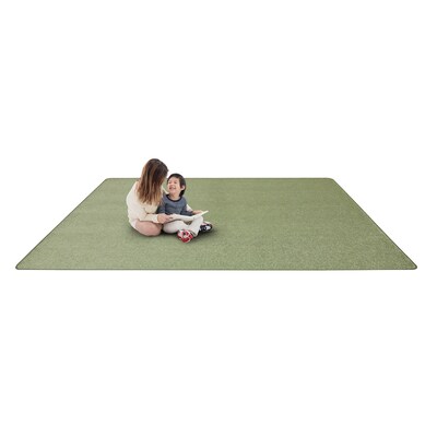 Joy Carpets Endurance Polyester 6' x 9' Machine Tufted Rug, Sage (80Q-11)