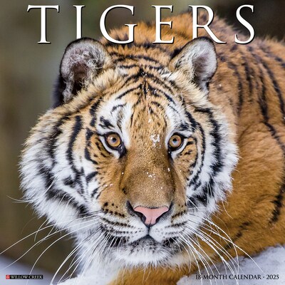 2025 Willow Creek Tigers 12 x 12 Yearly Wall Calendar (45114)