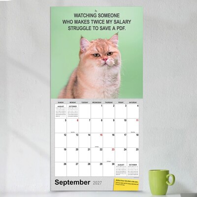 2027 TF Publishing Corporate Cats 12" x 12" Monthly Wall Calendar (27-1005)