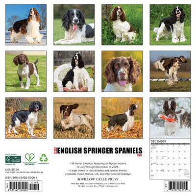2027 Willow Creek English Springer Spaniels 12 x 12 Monthly Wall Calendar (60094)