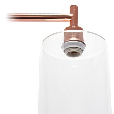 Simple Designs Modern Iron Lantern Floor Lamp with Glass Shade, Rose Gold (LF2009-RGD)