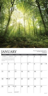2026 Willow Creek Heaven Has a Forest 12" x 12" Monthly Wall Calendar (51450)