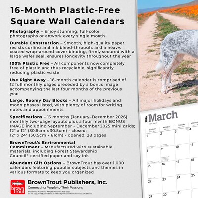 2026 BrownTrout Australian Cattle Dogs 12" x 12" Monthly Wall Calendar (9798330702190)