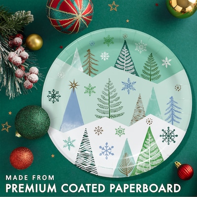Creative Converting Winter Wonderland Christmas Tableware Set, Serves 8 (DTC9035E2A)