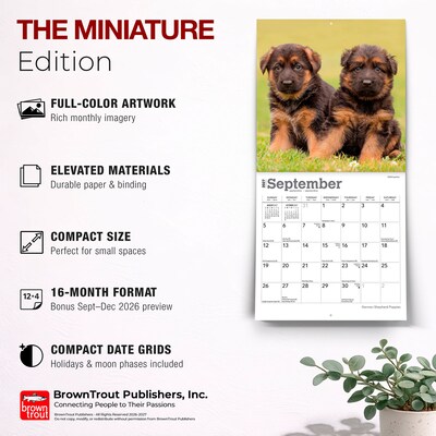 2027 BrownTrout German Shepherd Puppies 7" x 7" Monthly Wall Calendar, Assorted Colors (9798330714780)