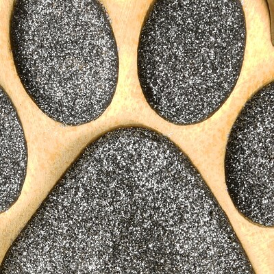 National Tree Company 5" Silver Sparkle NOEL Stocking Holders, 4-Pieces (MO57-MAE20211-1)