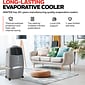 Honeywell 120-Volt Portable Evaporative Air Cooler With Remote Control, Gray (CL30XC)