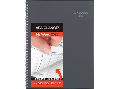2025 AT-A-GLANCE DayMinder 8.5 x 11 Weekly & Monthly Planner, Poly Cover, Gray (GC545-07-25)