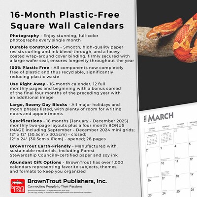 2025 BrownTrout Snakes 12" x 12" Monthly Square Wall Calendar (9781975476366)