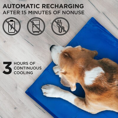 Arf Pets Non-Toxic Gel Dog Cooling Bed Mat for Kennels, X-Small, Blue (APCLPD015)