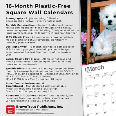 2026 BrownTrout Bichon Frise Puppies 12" x 12" Monthly Wall Calendar (9798330702435)