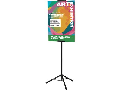 Excello Global Products Blank Indoor/Outdoor Floor Sign, 13" x 86", Black (EGP-HD-0523)