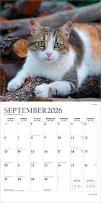 2026 Plato I Love Cats 12" x 12" Monthly Wall Calendar (9798330706808)