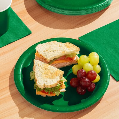 Creative Converting Touch of Color Paper Plates, Emerald Green, 240/Carton (47112B)