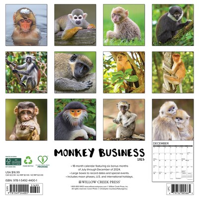 2025 Willow Creek Monkey Business 12" x 12" Monthly Wall Calendar (44001)