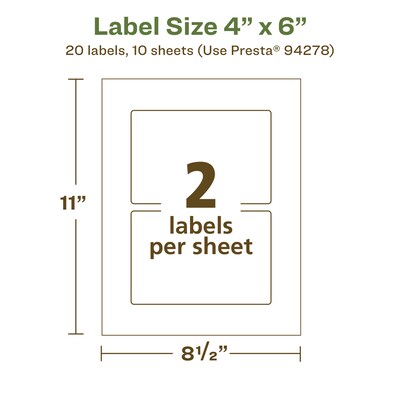 Avery EcoFriendly Laser/Inkjet Rectangle Multipurpose Labels, 4" x 6", White, 20/Pack (94278)