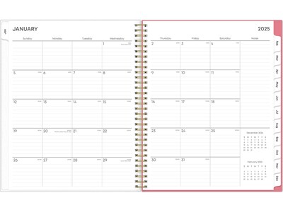 2025 Blue Sky Fly By 8.5" x 11" Weekly & Monthly Planner, Plastic Cover, Multicolor (140195-25)