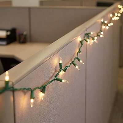 Excello Global Products Indoor/Outdoor LED Holiday String Lights, White Bulb/Green Wire, 2 Strands of 25' (EGP-HL-GW-WL)
