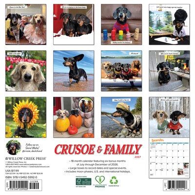 2027 Willow Creek Crusoe the Celebrity Dachshund 12 x 12 Monthly Wall Calendar, Assorted Colors (59920)