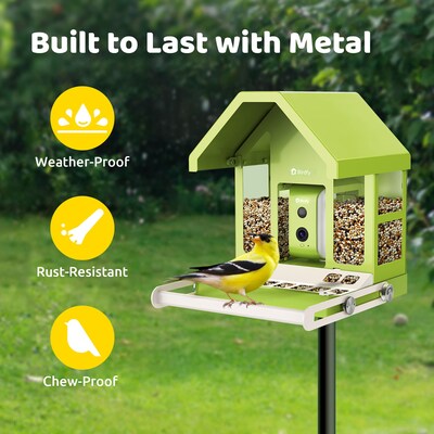Birdfy Smart Bird Feeder with Camera, Solar Panel and AI by Subscription, Green (EPPAMBNI8172100)