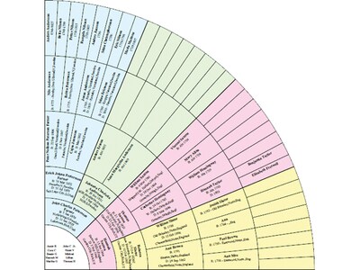 Individual Software Family Tree Heritage Gold for 1 User, Windows, Download (IND945800V060)