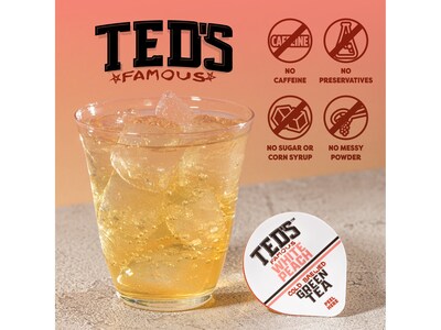 Java House Ted's Famous Cold Brewed White Peach Green Tea Pods, 12/Carton (FC900T70)