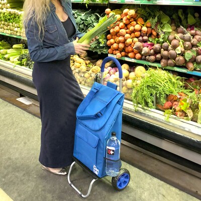 Trolley Dolly Standard Folding Hand Truck, 110 lb. Capacity, Blue (01-060)