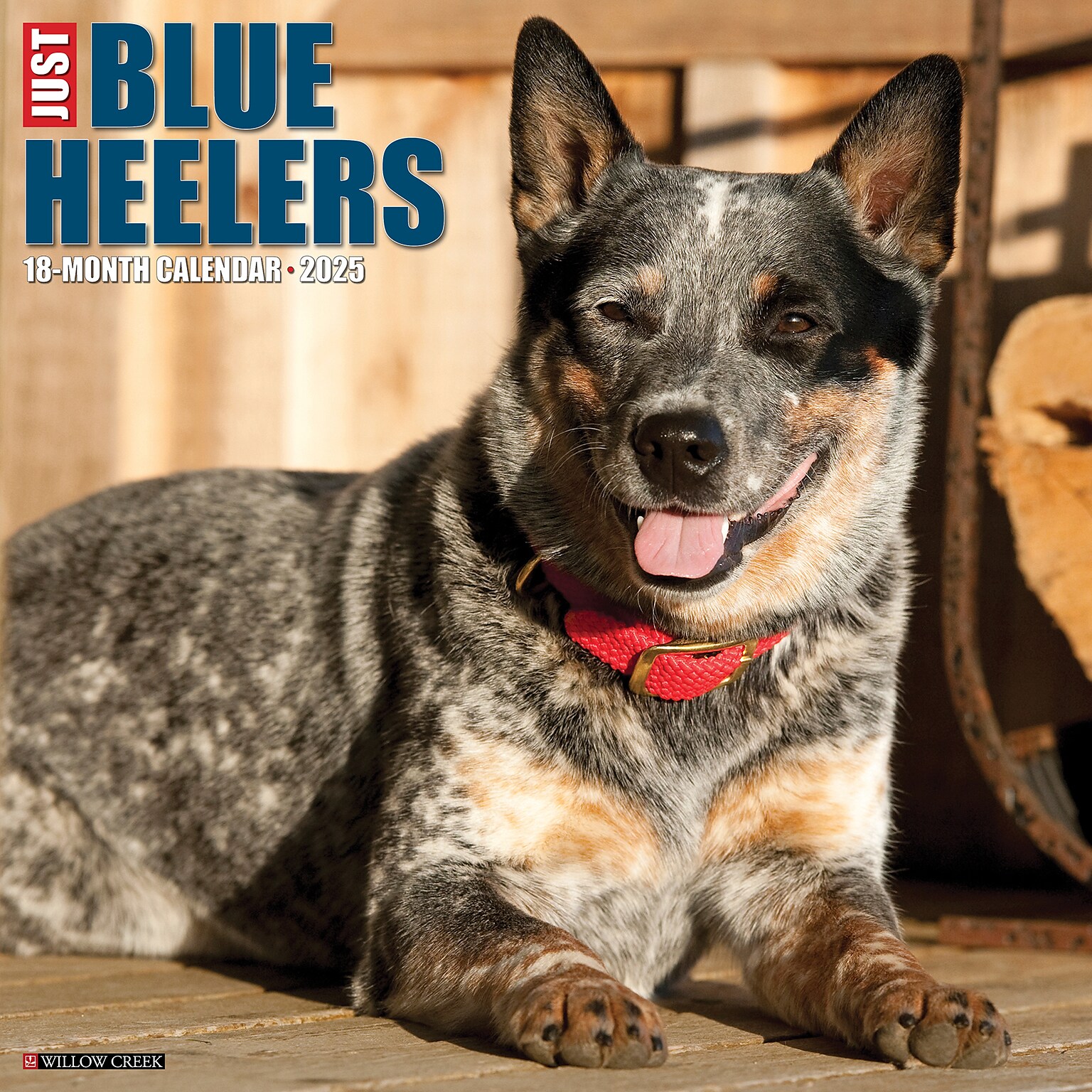 2025 Willow Creek Just Blue Heelers 12 x 12 Monthly Wall Calendar, Multicolor (41888)