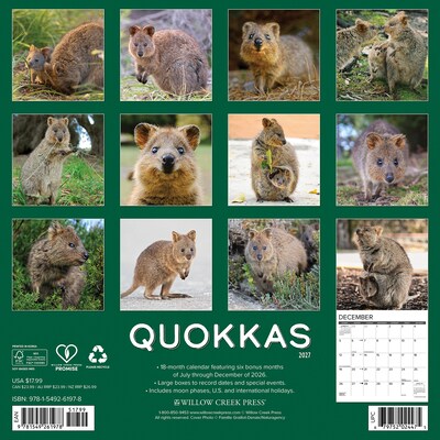 2027 Willow Creek Quokkas 12 x 12 Monthly Wall Calendar, Assorted Colors (61978)