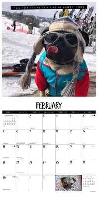 2027 Willow Creek Doug the Pug  12" x 12" Monthly Wall Calendar (60063)