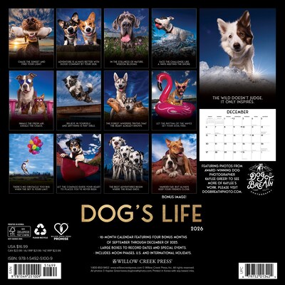 2026 Willow Creek Dogs Life 12 x 12 Monthly Wall Calendar (51009)
