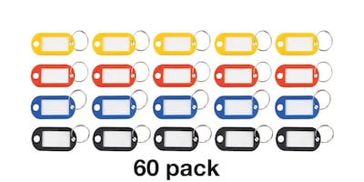 Advantus 1-Key Tags, Assorted Colors, 60/Pack