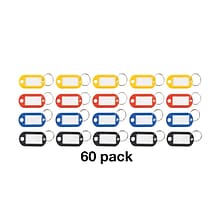 Advantus 1-Key Tags, Assorted Colors, 60/Pack