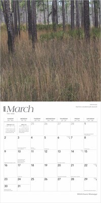 2025 BrownTrout Mississippi Wild & Scenic 12" x 24" Monthly Square Wall Calendar (9781975475291)