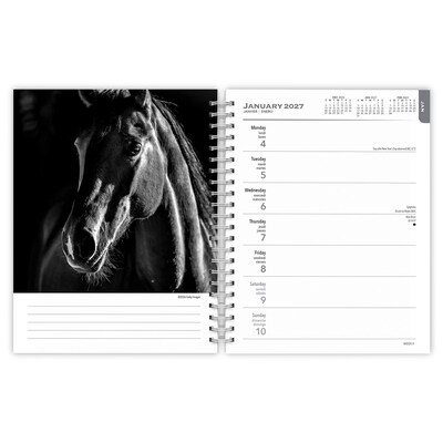 2027 BrownTrout The Noble Horse 6.5" x 7.8" Calendar Year Weekly Standard Planner, Multicolor (9798330709465)