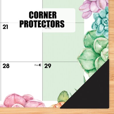 2025-2026 Willow Creek Succulents 17" x 12" Academic Monthly Desk Pad Calendar, Multicolor (56950)