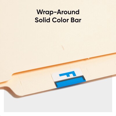 Smead BCCR Labels File Folder Label, F, Blue, 500 Labels/Pack (67076)