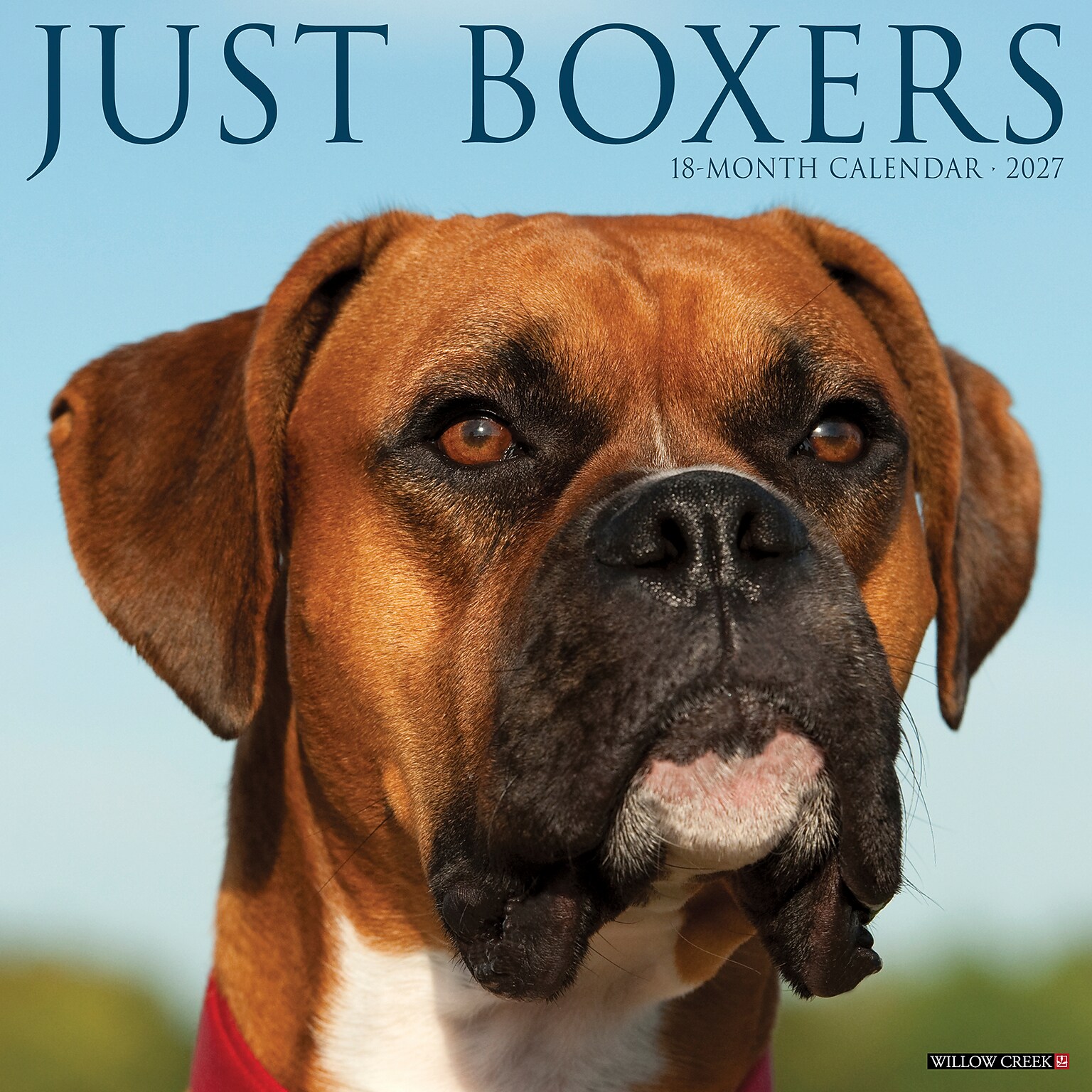 2027 Willow Creek Boxers 12 x 12 Monthly Wall Calendar, Assorted Colors (59326)