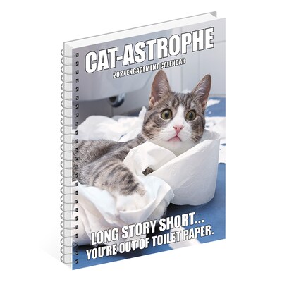2027 Willow Creek Cat-astrophe 6.5" x 8.5" Weekly & Monthly Desk Calendar (64351)