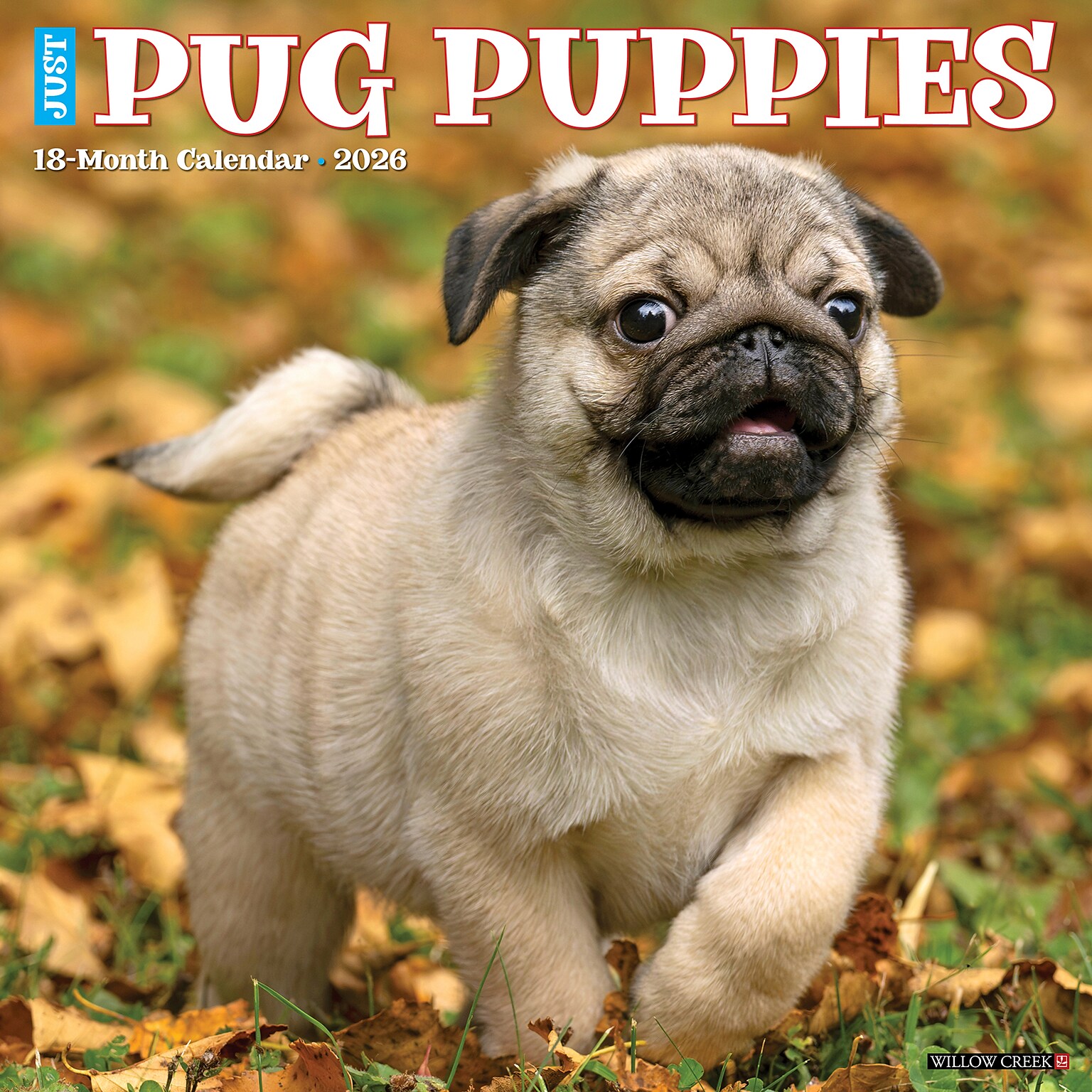 2026 Willow Creek Pug Puppies 12 x 12 Monthly Wall Calendar (52495)