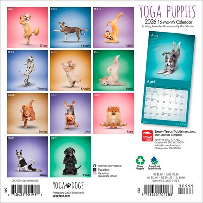 2026 BrownTrout Yoga Puppies 7 x 7 Monthly Wall Calendar (9798330701988)