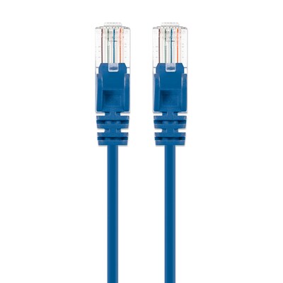 Intellinet Network Solutions 1-ft. CAT-6 Ethernet Cable, Blue (742436)