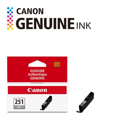 Canon 251 Gray Standard Yield Ink Cartridge  (6517B001)