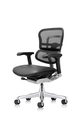 Eurotech Ergohuman Gen2 Mid Back Mesh Office Chair, Black (LEM6ERGLO-GEN2)