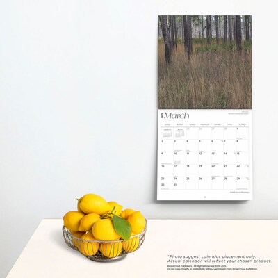 2025 BrownTrout Mississippi Wild & Scenic 12" x 24" Monthly Square Wall Calendar (9781975475291)