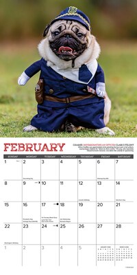 2026 Willow Creek Pug Mugs 12" x 12" Monthly Wall Calendar (52488)