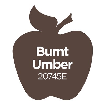 Apple Barrel Acrylic Paint Matte, 8oz., Burnt Umber, 6/Pack (APP20745E-6)